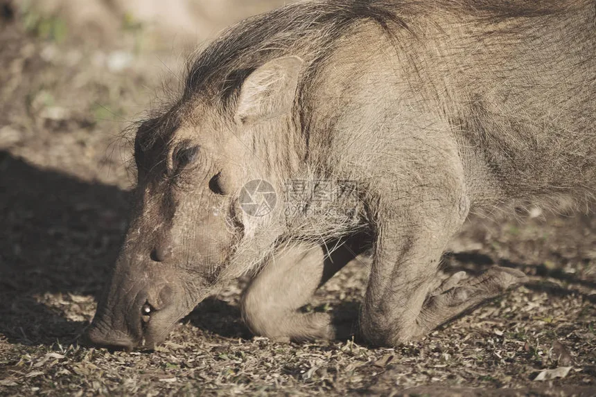 

Металлическая защитная пластина/броня из нержавеющей стали для шасси MK07 JK07, 1/7, запчасти и аксессуары для тюнинга радиоуправляемых машин