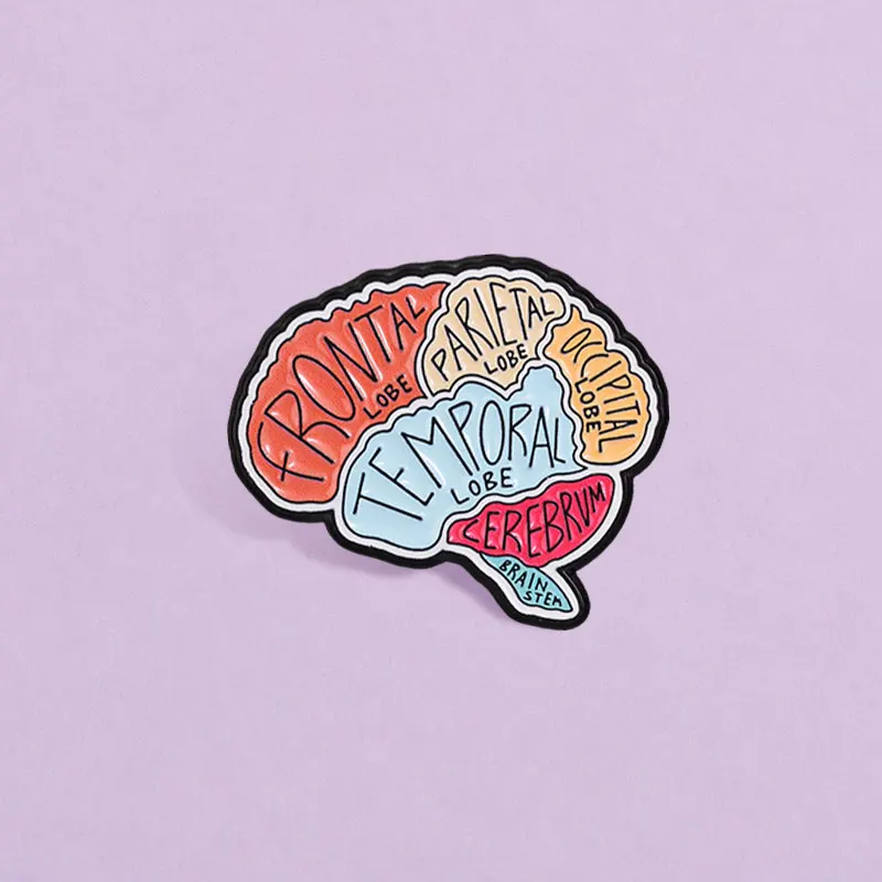 Frontal Parietal Temporal Occipital Lobe Cerebrum Brain Stem Enamel Badge Anatomy Diagram Alloy Brooch Gifts For Medical Student