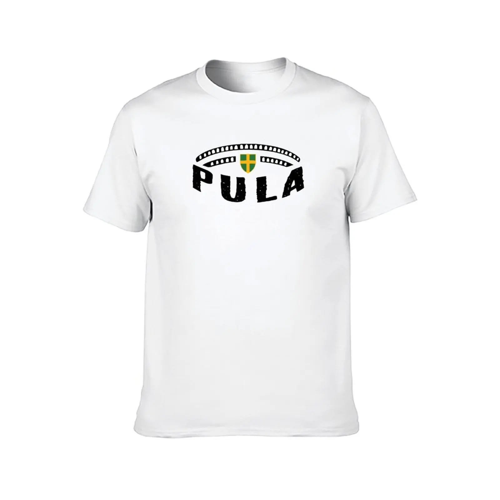 Pula City Istra Istria Croatia Hrvatska Pola Croazia T-Shirt sports fans oversized Men's t shirts