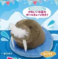 Walrus
