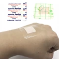 transparent type