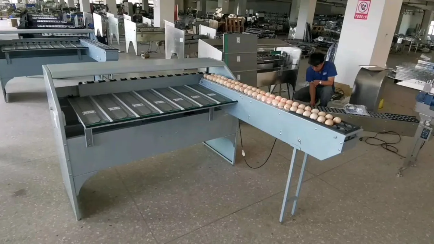 Customizable 5400pcs/h Egg Sorter 304SS 5-7 Grades Automatic Chicken Duck Goose Quail Egg Grader for Commercial Use