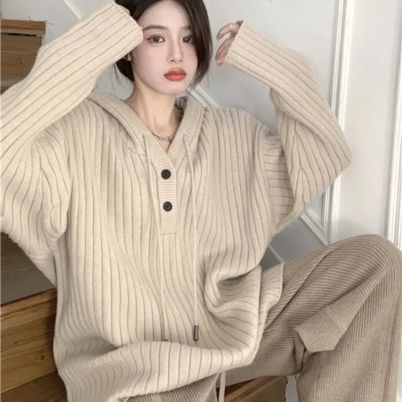 Soft Glutinous Hooded Sweater Women INS Autumn and Winter New Korean Version Loose and Lazy Style Casual Thickened Knit Top