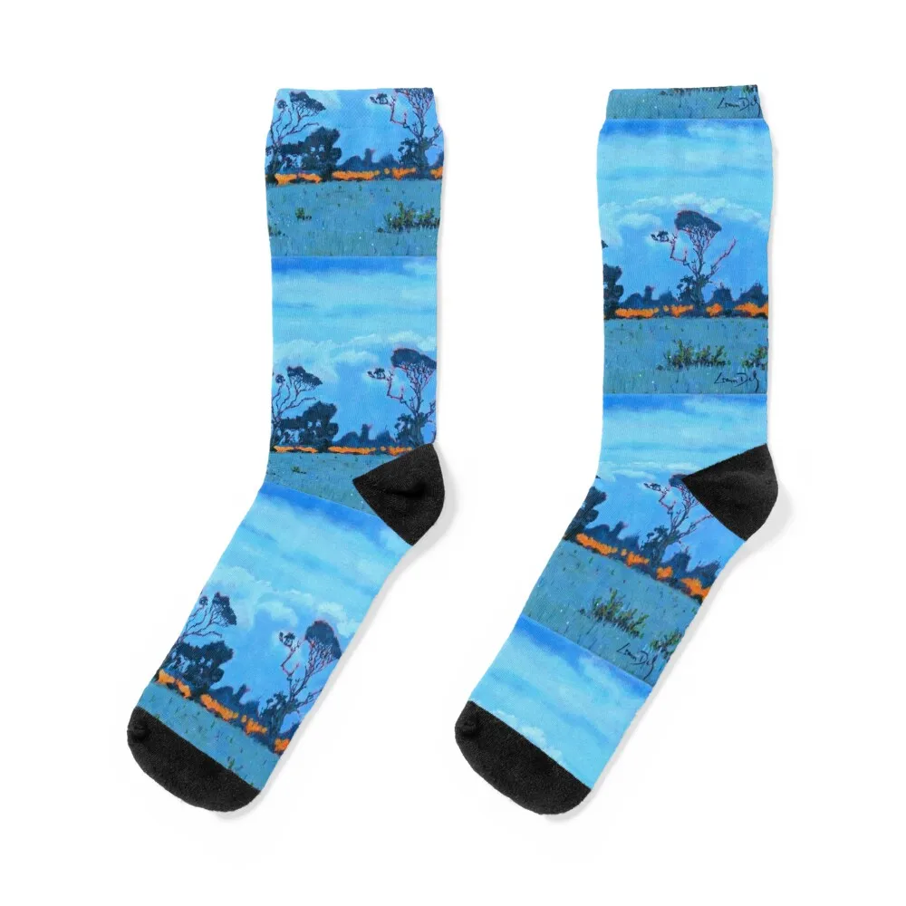 

West Cork Trees, Ireland Socks New year's compression hip hop Socks Women's Men's