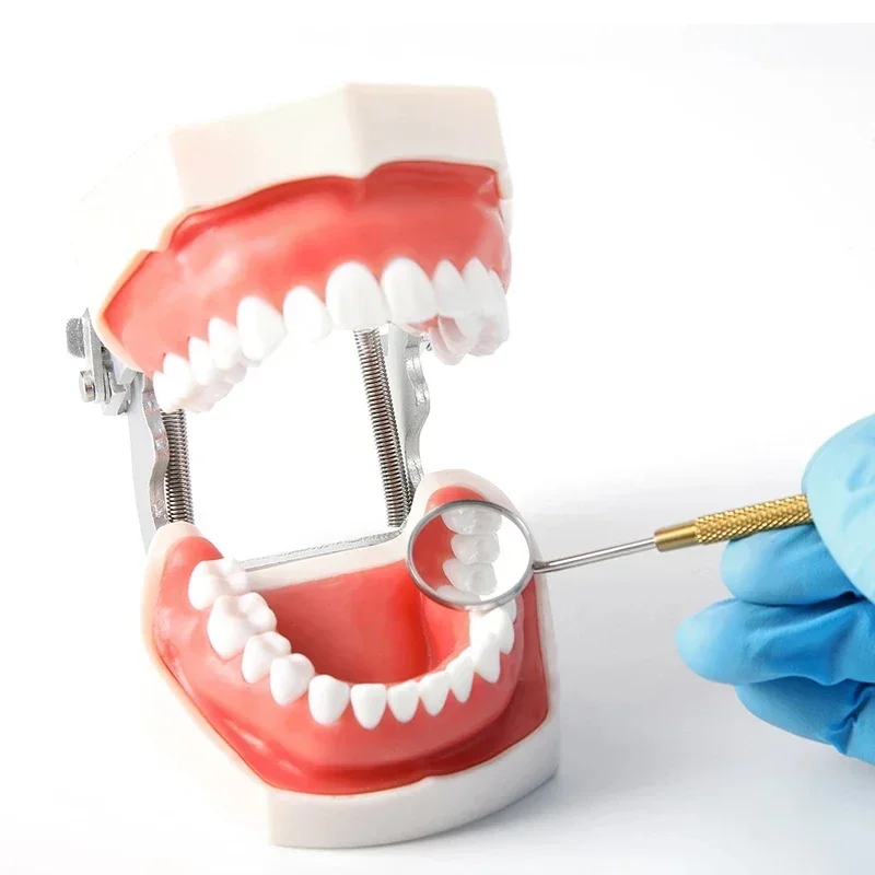 Стоматологическое зеркало для рта из нержавеющей стали с эргономичной ручкой для осмотра зубов полости рта и профессионального использования в стоматоре