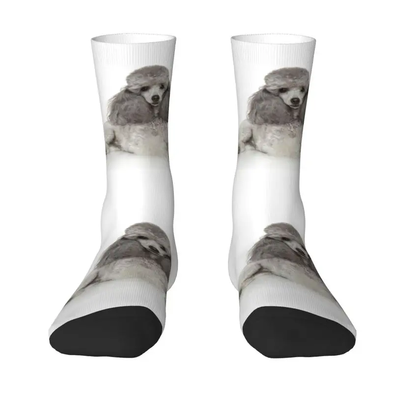 Funny Men's Poodle Dog Dress Socks Unisex Warm Comfortable 3D Print Animal Pattern Crew Socks