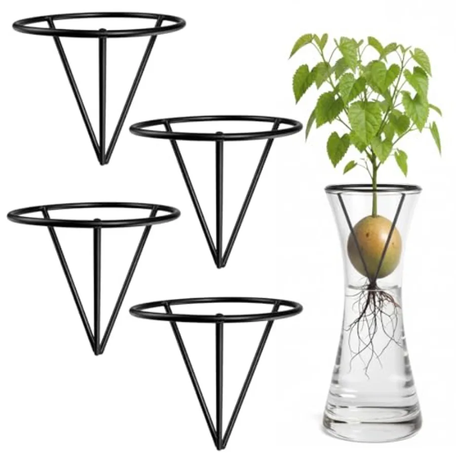 

Avocado Seed Starter Vase, 4 Hydroponic Seed Sprouting Jar Stand for Avocado Tree Growing, Plant Seed Germination Kit with PP M