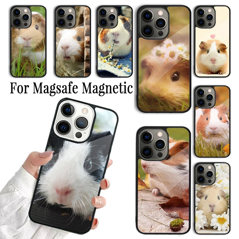 Coque Phone Case For iPhone 16 15 14 13 12 Mini 11 Pro Max Plus Magsafe Magnetic Wireless Charging Cover Love Guinea Pig Cute