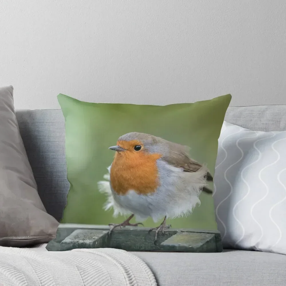 

European robin (Erithacus rubecula) Throw Pillow Room decorating items Decorative Sofa Cushions Sitting Cushion pillow
