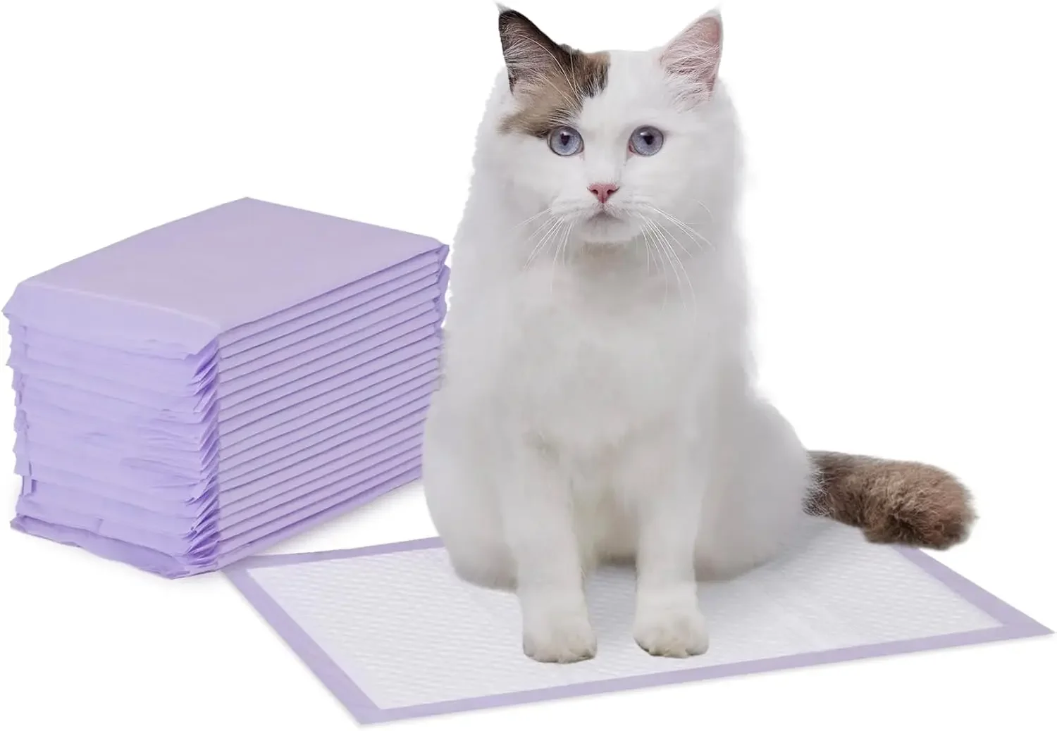 Basics Cat Litter Pee Pads, Super Absorbent, Odor Control with Lemon Scent, Disposable, Universal Fit for Litter Box, Multi Cat,