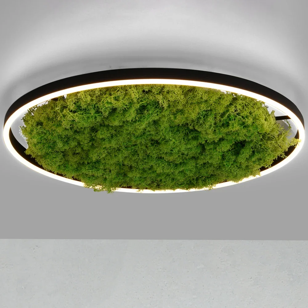 Green Moss Acoustic Modern Pendant Lamp Led Rings Circle Ceiling Hanging Chandelier Lighting Fixture with Huge Size for Indoor