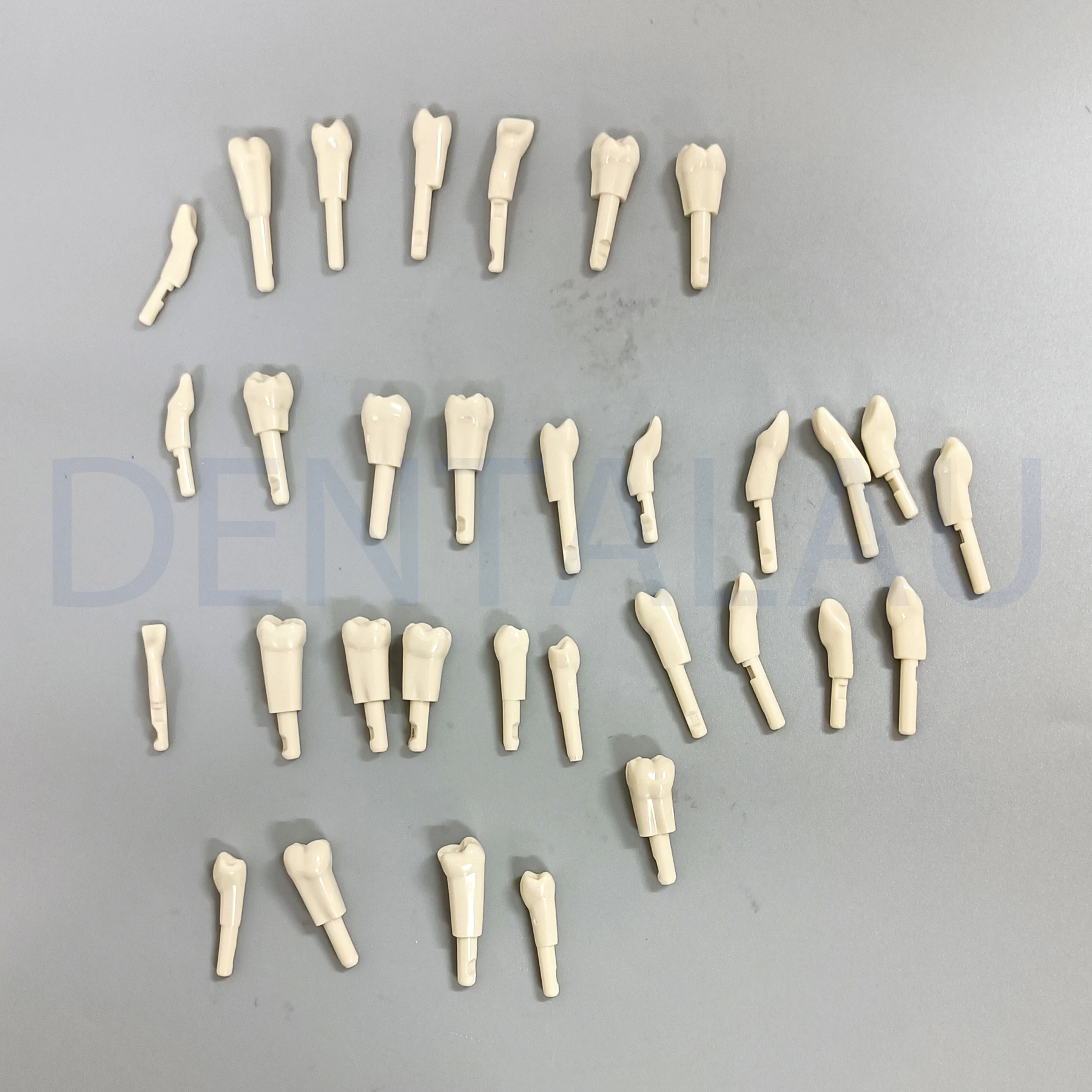 10/32 PCS Dental Tooth Model fit for KaVo Basic Model Teeth Retention Mechanism High quality