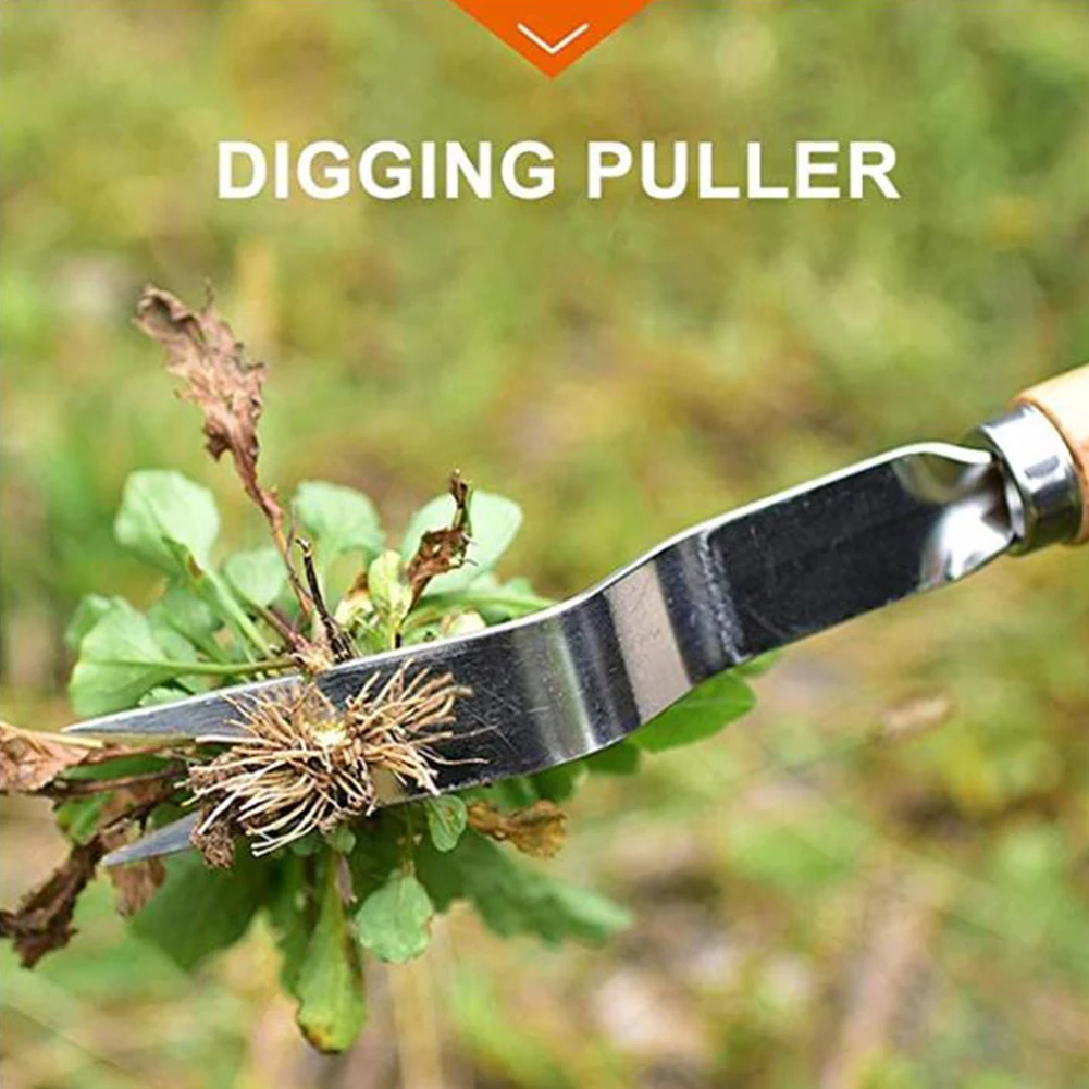 Imagem -02 - Punho de Madeira de Jardim Weeder Mão Remoção Remoção Cortador Extrator Ferramentas Multifunções Weeder Transplante Aço Inoxidável