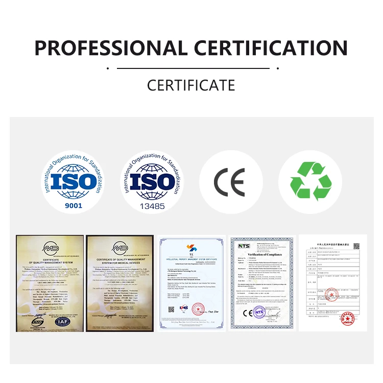 Blue And Red Light Anti-inflammatory Vaginal Massage Vibrator Medical Vaginal Tightening Gynecology Laser Device