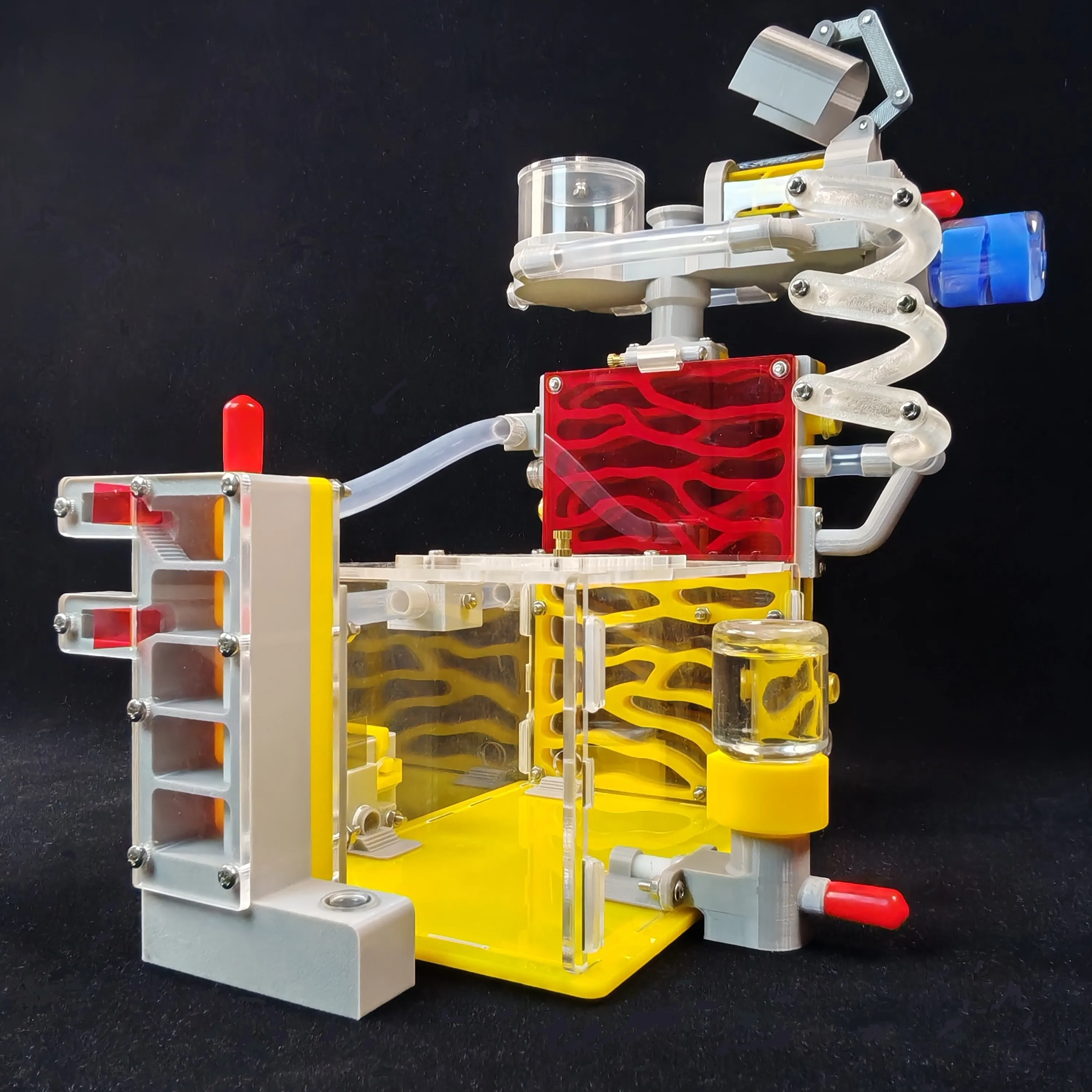 #18 New Ant Farms Arrivals