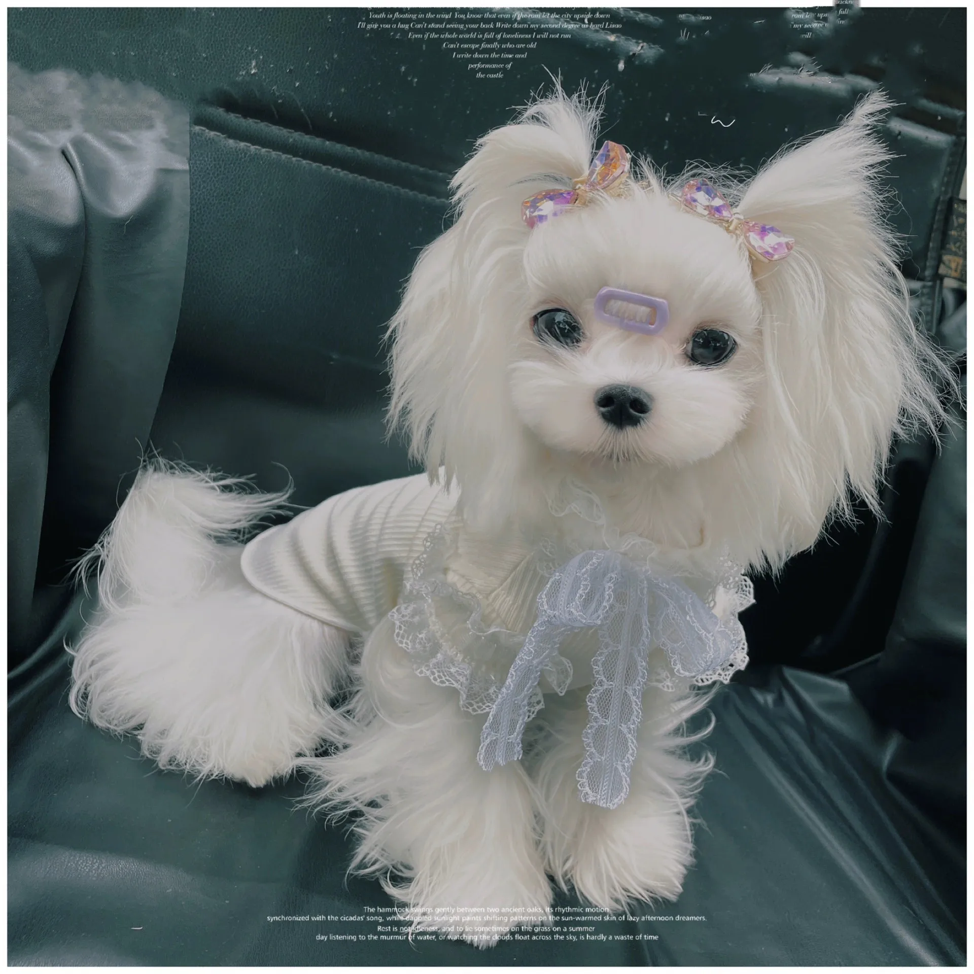 

Lace Soft And Comfortable Pet Base Shirt Black And White Polka Dot Design Little Dog'S Pullover Shirt