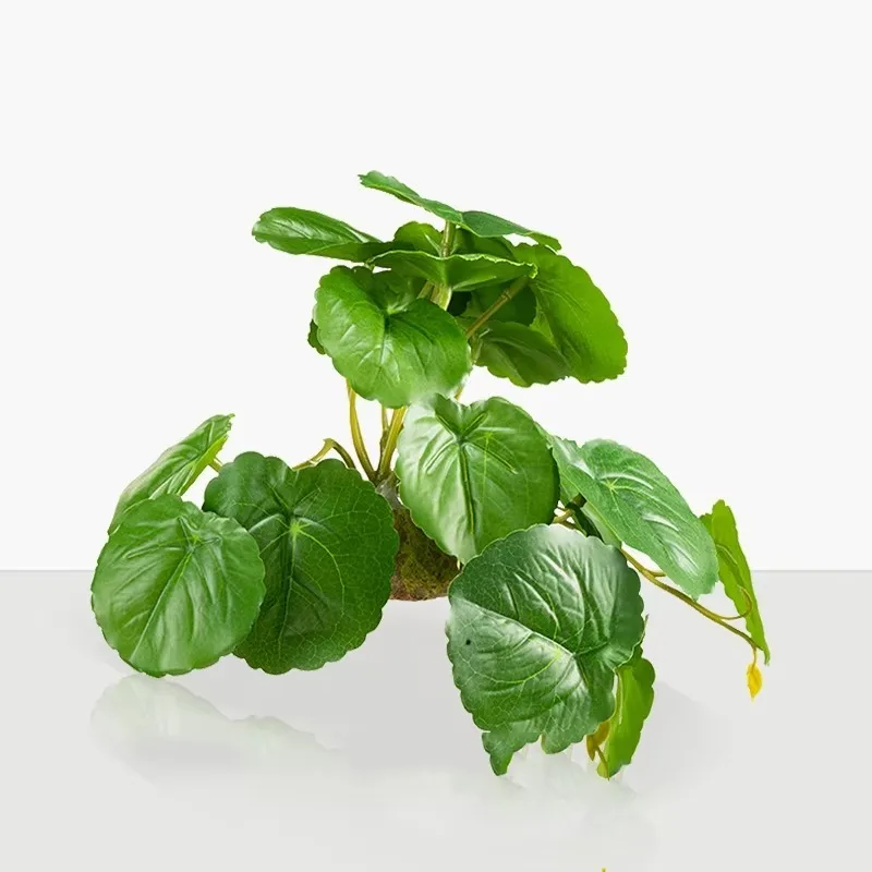 10pcs Simulation Aquatic Grass Fish tank Plant Landscaping Reptile Box Landscaping Plant Decoration Aquarium Accessories