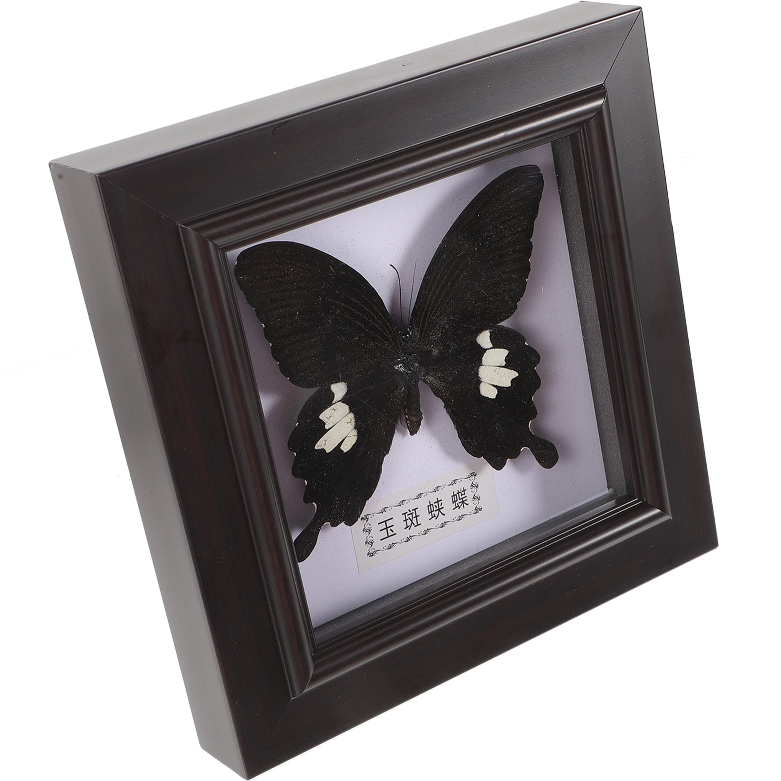 

Wall Hanging Picture Frame Simulated Butterfly Specimen Exquisite Home Decor Desktop Ornament Display Frame For Household Office