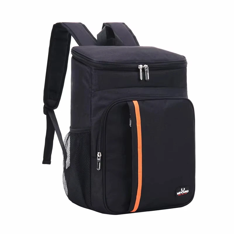 Sac à lunch thermique portable, glacière étanche durable, étui isotherme, sacs à dos Oxford, glacière, boîte à nourriture, camping, 20L