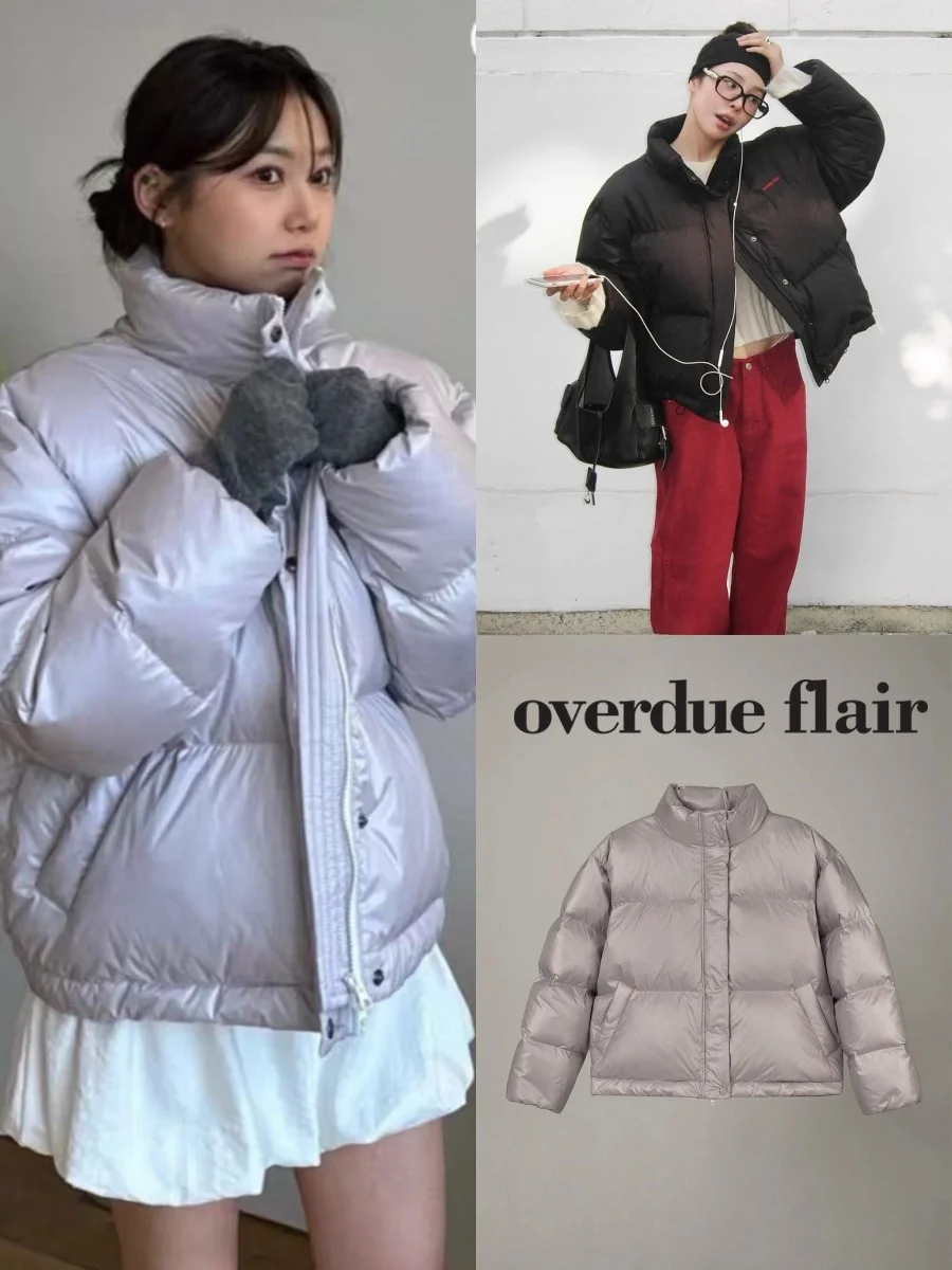 

Зимняя куртка Flair 25: Новинка, стильный пуховик с объемным дизайном, воротник-стойка, теплая, с длинными рукавами, женская, модная, для повседневной носки, на утином пуху