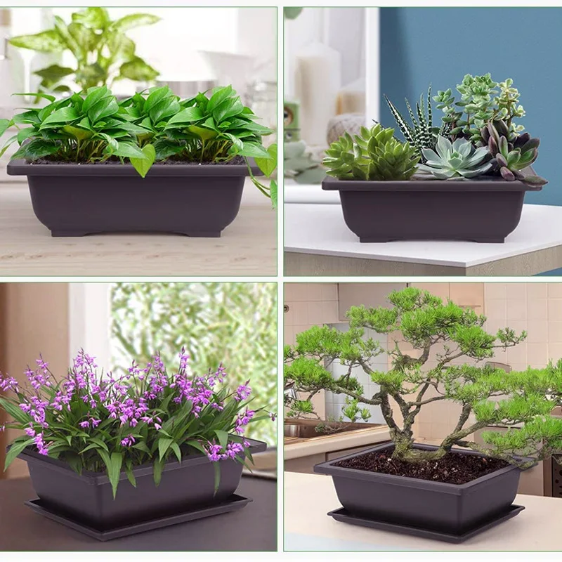 Training Pots With Tray Plastic Bonsai Plants Pot Square For Flower Succulent Plastic Plant Pots With Square Trays planter