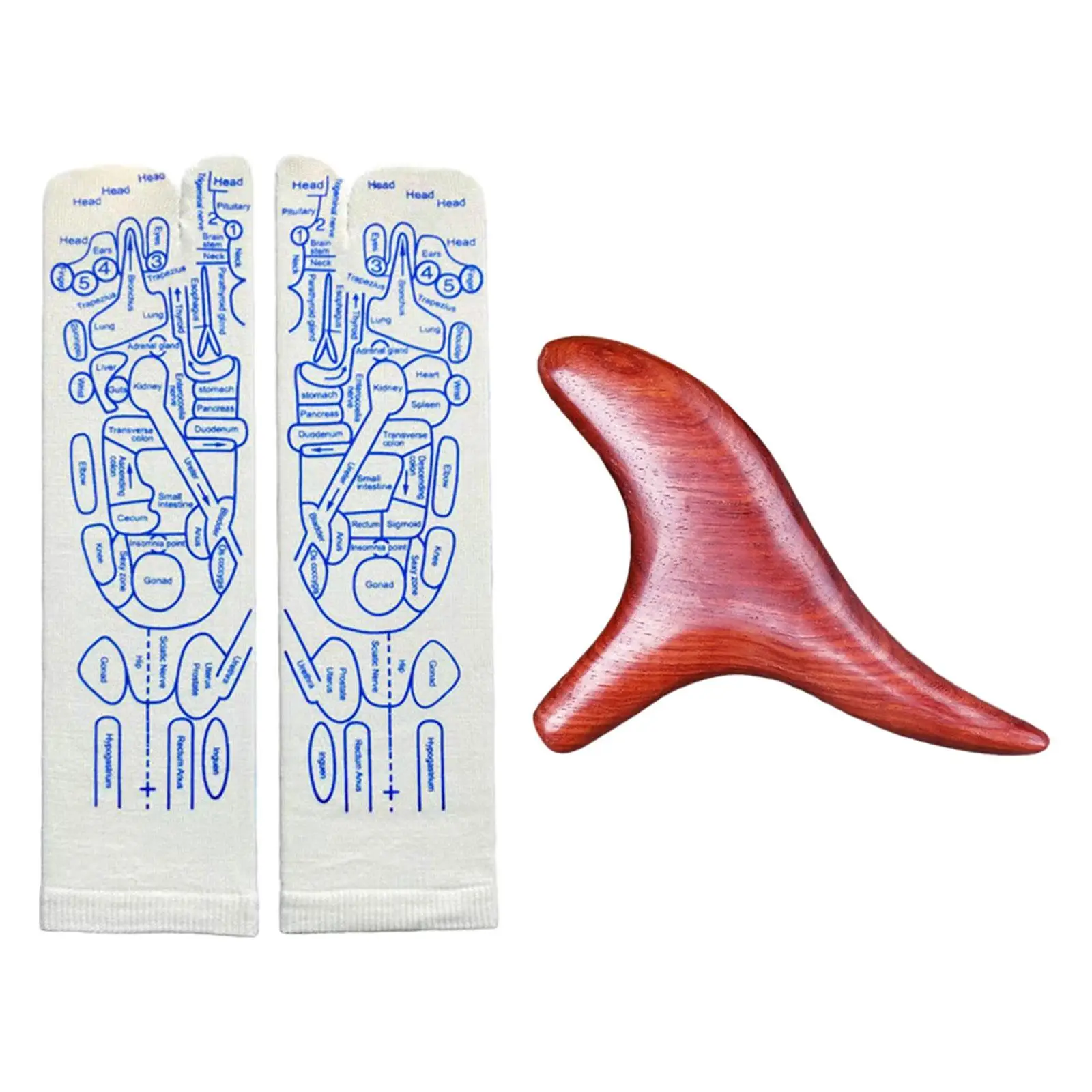 リフレクソロジー靴下フットマッサージソックス通気性ソフトカジュアルツボイラスト靴下家庭用マッサージパーラー大人