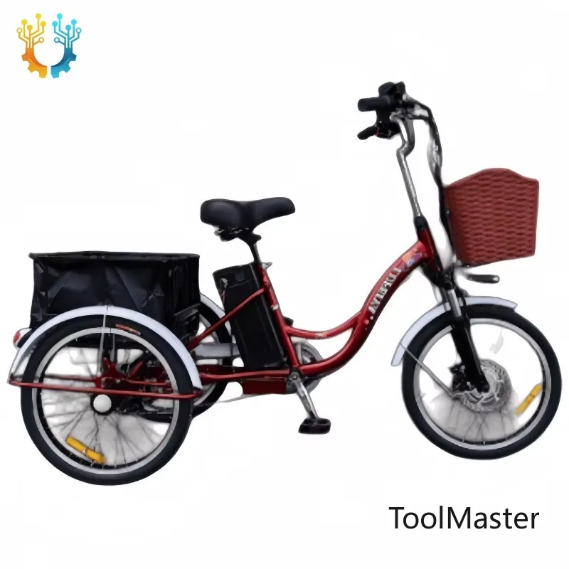 

【2026】350W 48V 20 Inch Electric Bike Elderly With 3 Wheels Electric Bicycle Removable Battery For Woman Electric Tricycle With B
