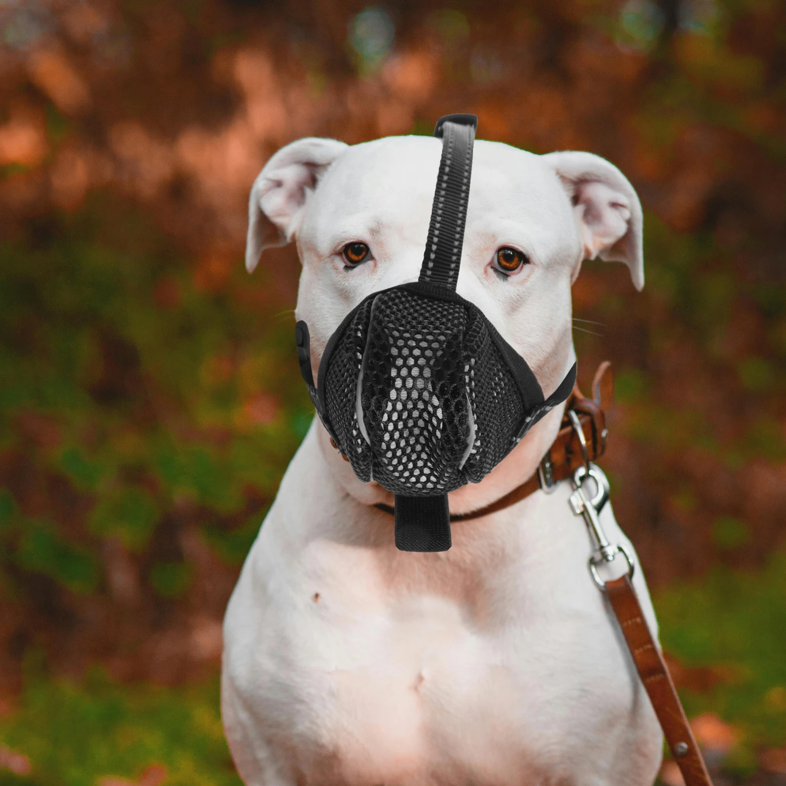 

Dog Muzzle Soft Mesh Breathable Large Mouth Cover Anti Barking Adjustable Pet Mask For Dogs Cat Safety muzzle XL