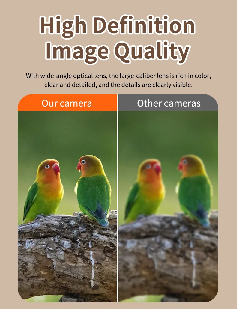 STLFSmart Bird Feeder HD CamerasMobiele app-bediening Weerbestendig buitenbewakingssysteem op zonne-energie