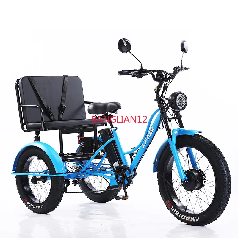 Electric assisted tricycle with 24 inch fat tires