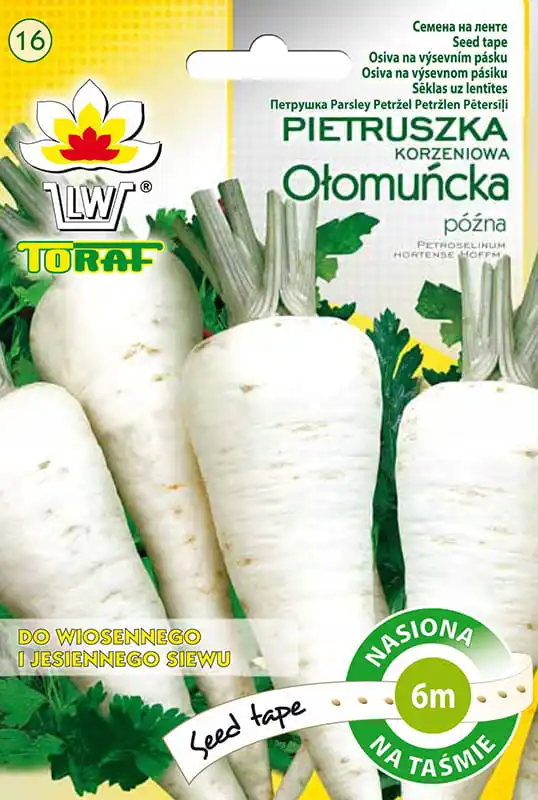 Parsley root Olomouńcka parsley seeds of vegetables on the tape 6m - TORAF