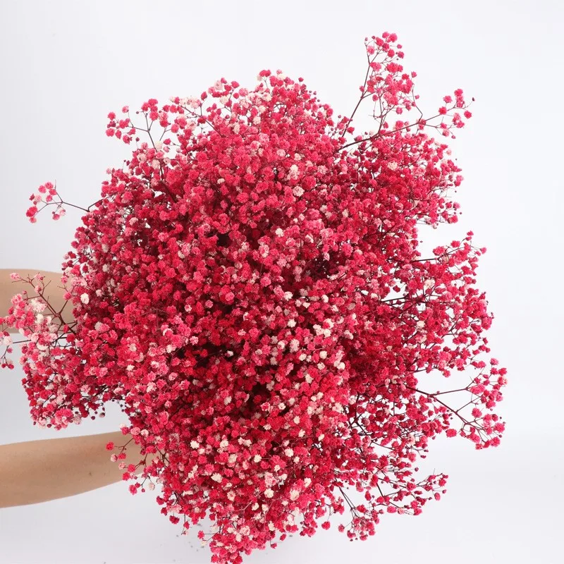 Flores preservadas secas con aliento de bebé fresco Natural, ramos de flores de Gypsophila paniculata para decoración de boda, regalo de San Valentín