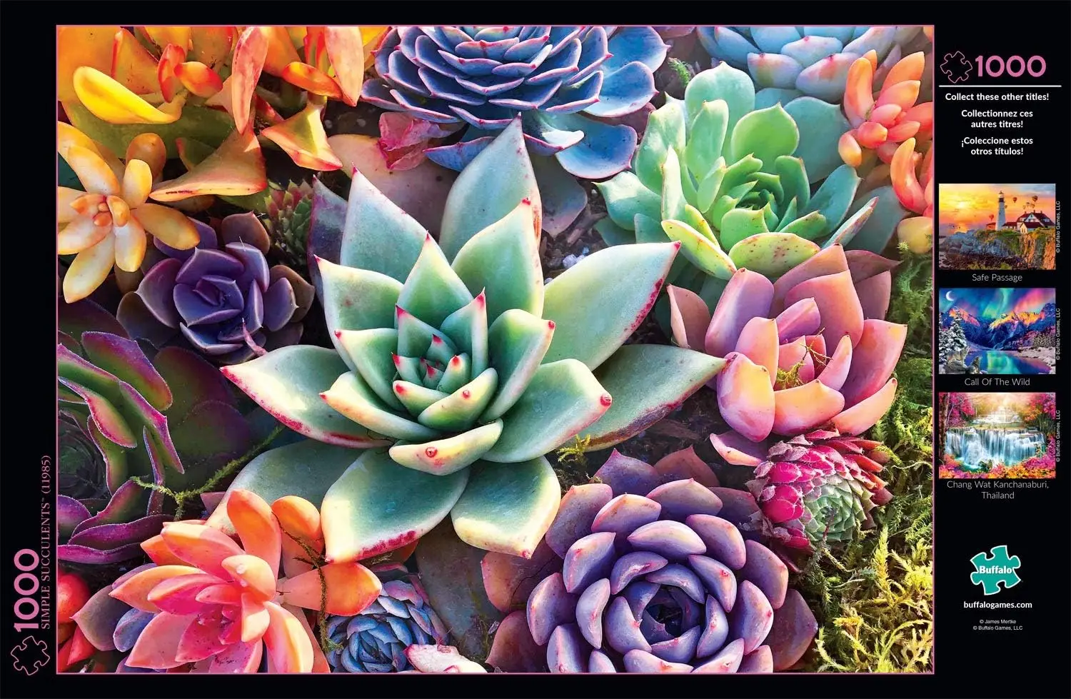 120/300/500/520/1000/1314 peças quebra-cabeça de madeira suculenta presente perfeito para amantes de quebra-cabeça família amigo sala de jogos decoração de quarto de casa