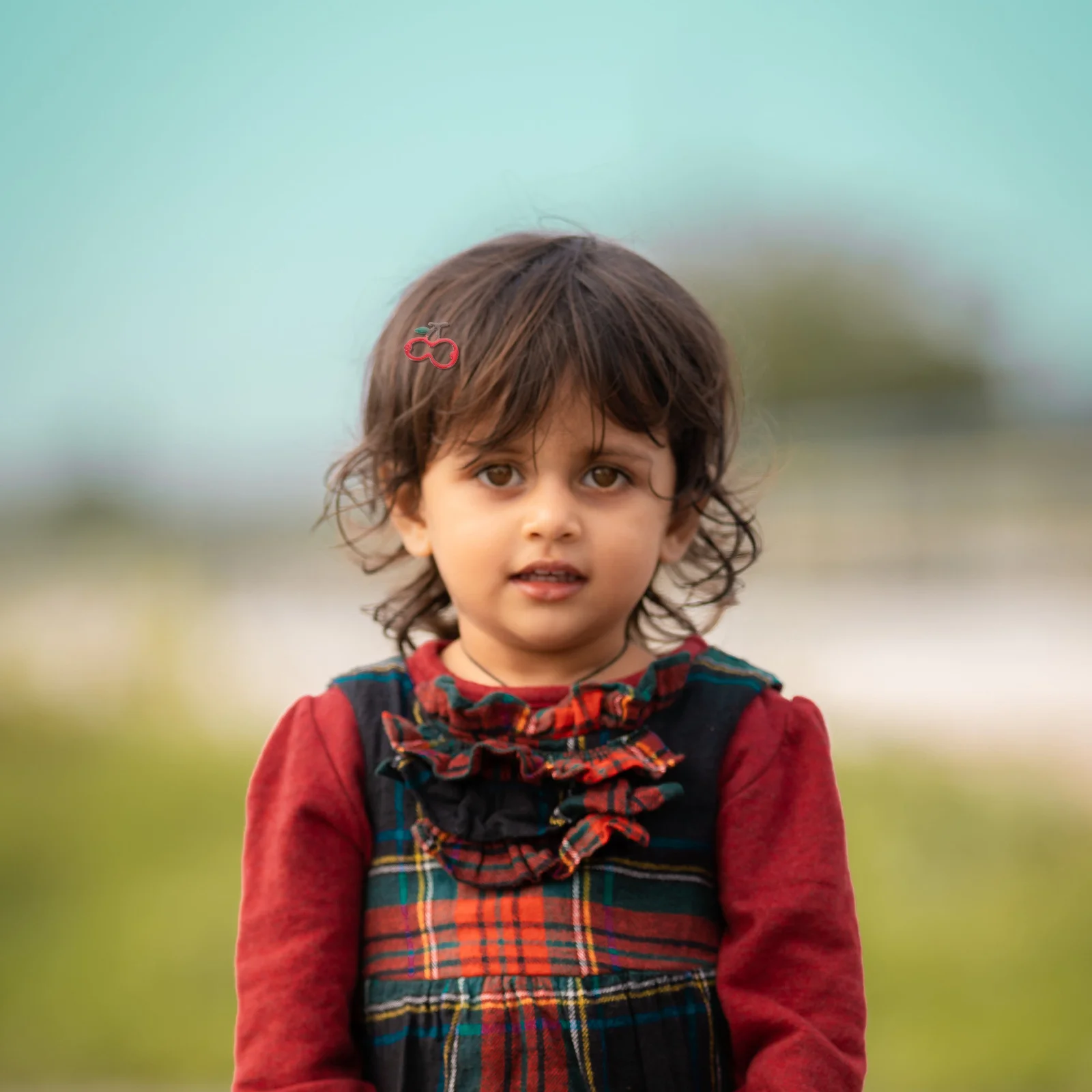 กิ๊บติดผมน่ารัก 6 ชิ้น ลายผลไม้ การ์ตูน สำหรับเด็ก อุปกรณ์เสริมผม รูปทรงสตรอว์เบอร์รี