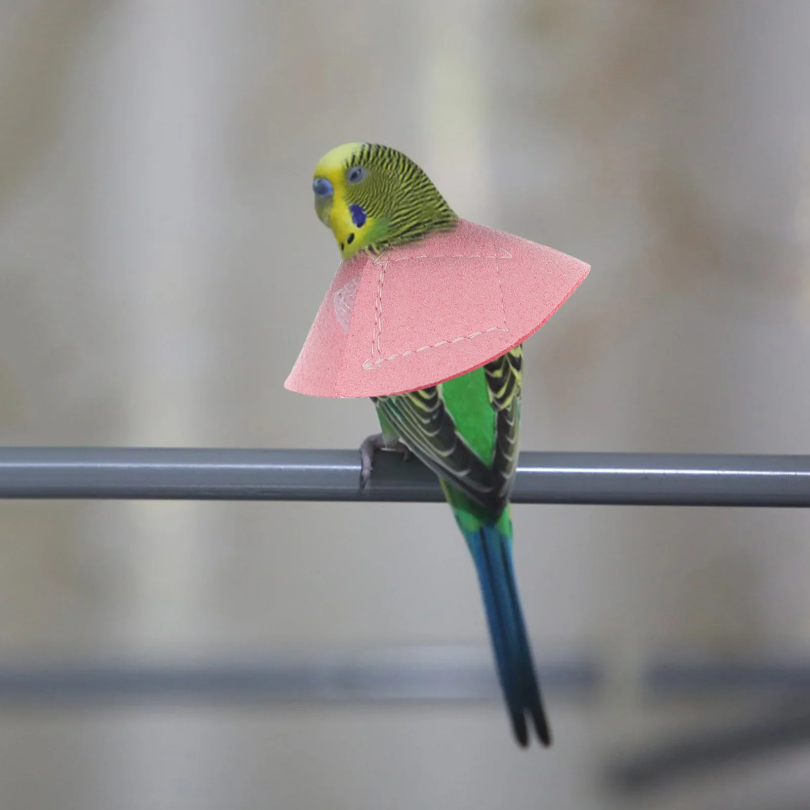 2 قطعة طوق مضاد للطبيب للطيور ، حلقة عنق الببغاء الواقية ، طوق استعادة طيور الحيوانات الأليفة ، شريط حول ياقة الملابس المضاد للعض ، مستلزمات الحيوانات الأليفة