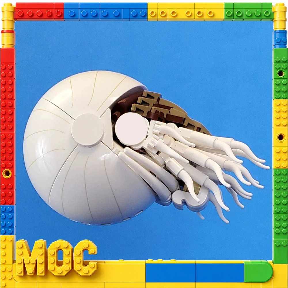 Scientifically Inspired Nautilus Assembly Toy Layered Chambers Textured Surface Educational Display Interlocking Brick Model Kit