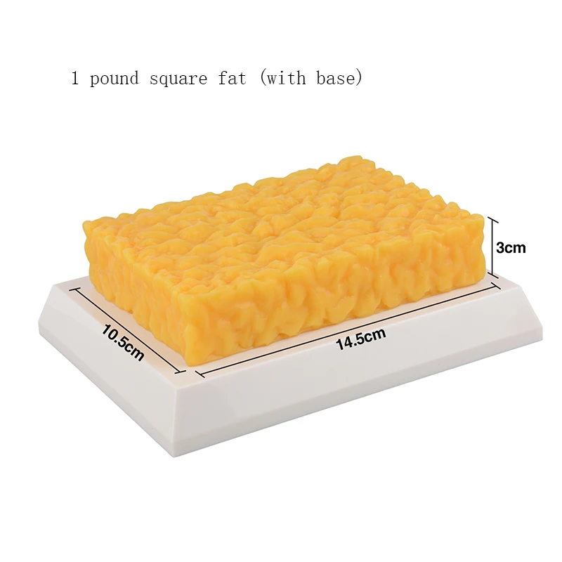 Ensino médico de silicone humano, modelo de gordura de uma libra, estrutura de gordura do corpo humano, simulação de exercício de tecido, auxiliares de ensino