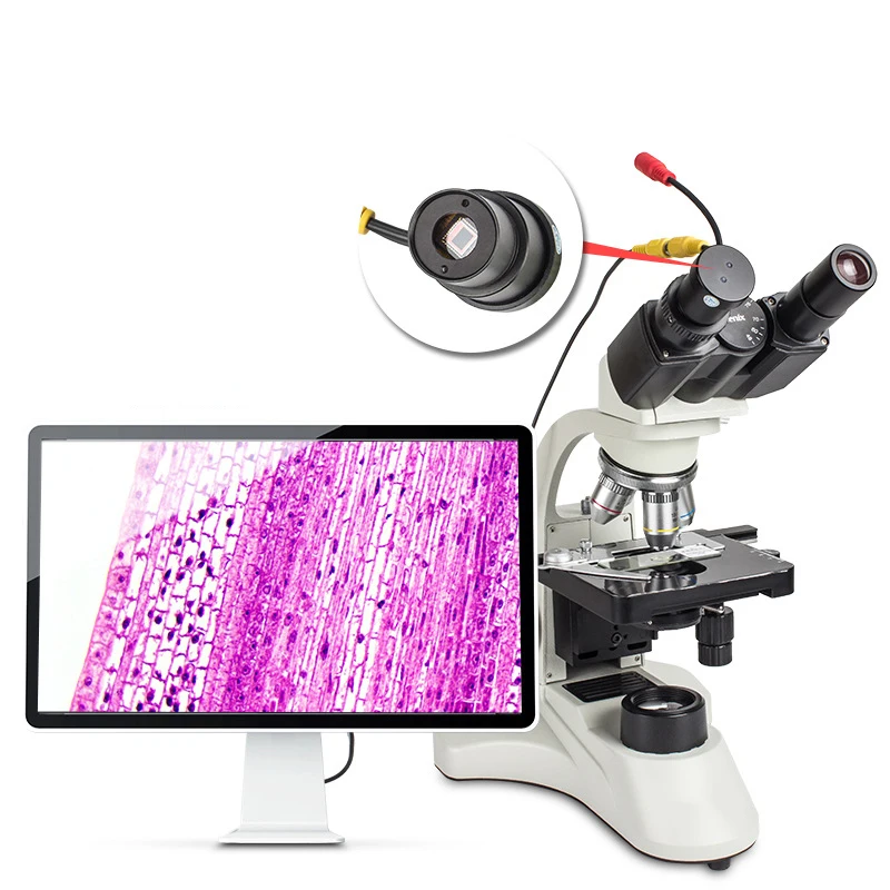 High Quality Veterinary Equipment Led Light Source Digital Veterinary Binocular Microscope Laboratory