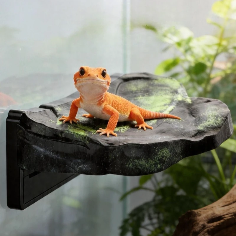 

Imitation Rock Reptile Terrarium Decor Magnetic Creative Breeding Box Decoration Suspended Habitat Ornaments Reptiles Supplies
