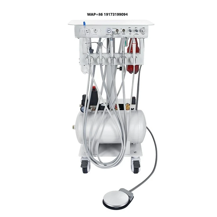 Professional dog  care equipment Veterinary  surgical instruments for tooth cleaning Scale oral diagnostic tools