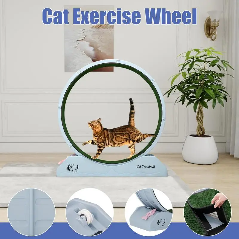 

Cat Wheel Exerciser Kitten Treadmill For Fitness Large Cat Wheel Exerciser For Indoors Safety Kitten Treadmill With Teaser