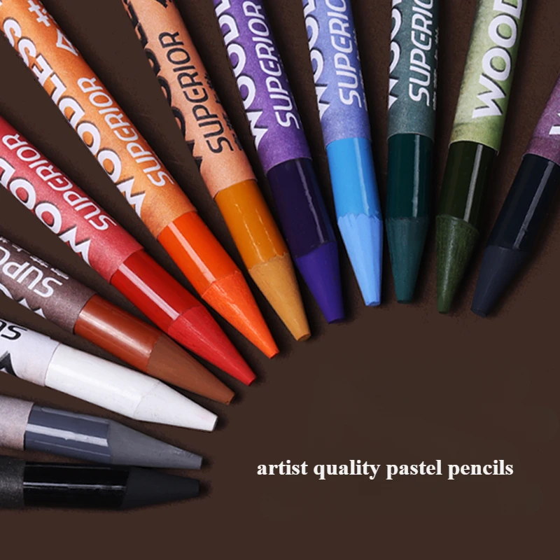 Woodless Pastel Pencils 24 Colors 7mm Core Artist Grade Chalk Charcoal Pencil Great Blending and Layering Sketching in Case