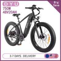 DYU King 750 Electric Bicycle 750W E-Mountain ebike 48V20AH Battery,26 Inch women's Electric Bike