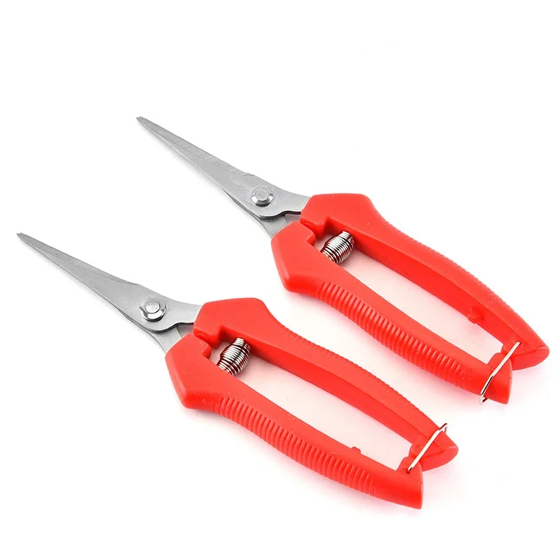 

Small Scissors For Household, Potted Branches Pruning, Fruit Picking - Gardening Tools For Orchard And Farm