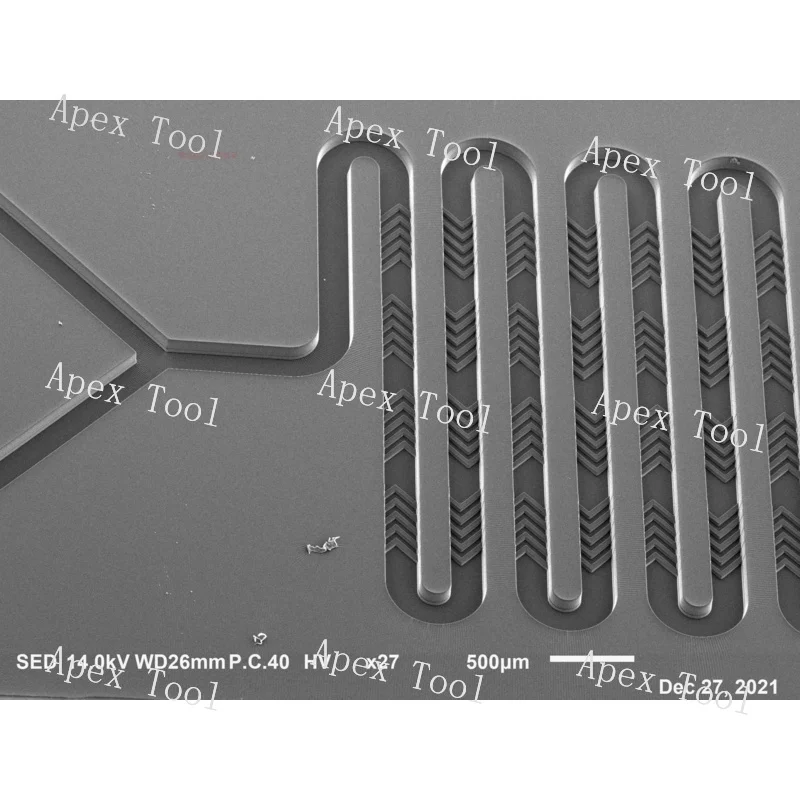 رقاقة هيكل السمكة ذات الطبقة المزدوجة من Microfluidic LNP رقاقة توليد الجسيمات النانوية MRNA رقاقة حيوية تخصيص التصوير الفوتوغرافي