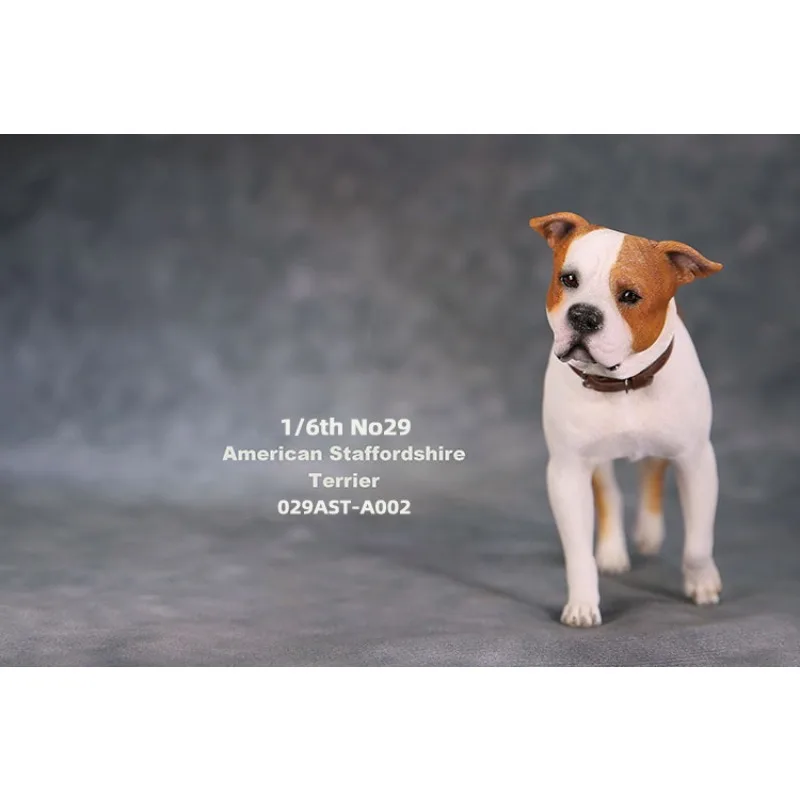 JXK 1/6 스케일 스태퍼드 밈 레진 모델 시뮬레이션 동물 개 피규어 장난감 12인치 군인 액션 피규어 액세서리