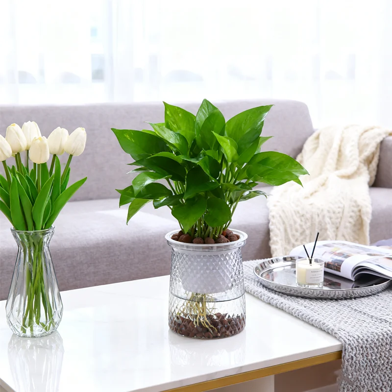 وعاء سقي ذاتي جديد بطبقة مزدوجة، زارع مائي شفاف للبستنة الكسولة، مزهرية نباتية أوتوماتيكية للاستخدام الداخلي والخارجي #1