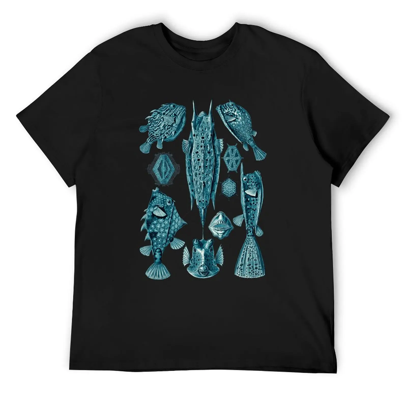 

Ernst Haeckel Ostraciontes Boxfish Cerulean T-Shirt anime shirt oversized vintage graphic tee t shirts for men pack