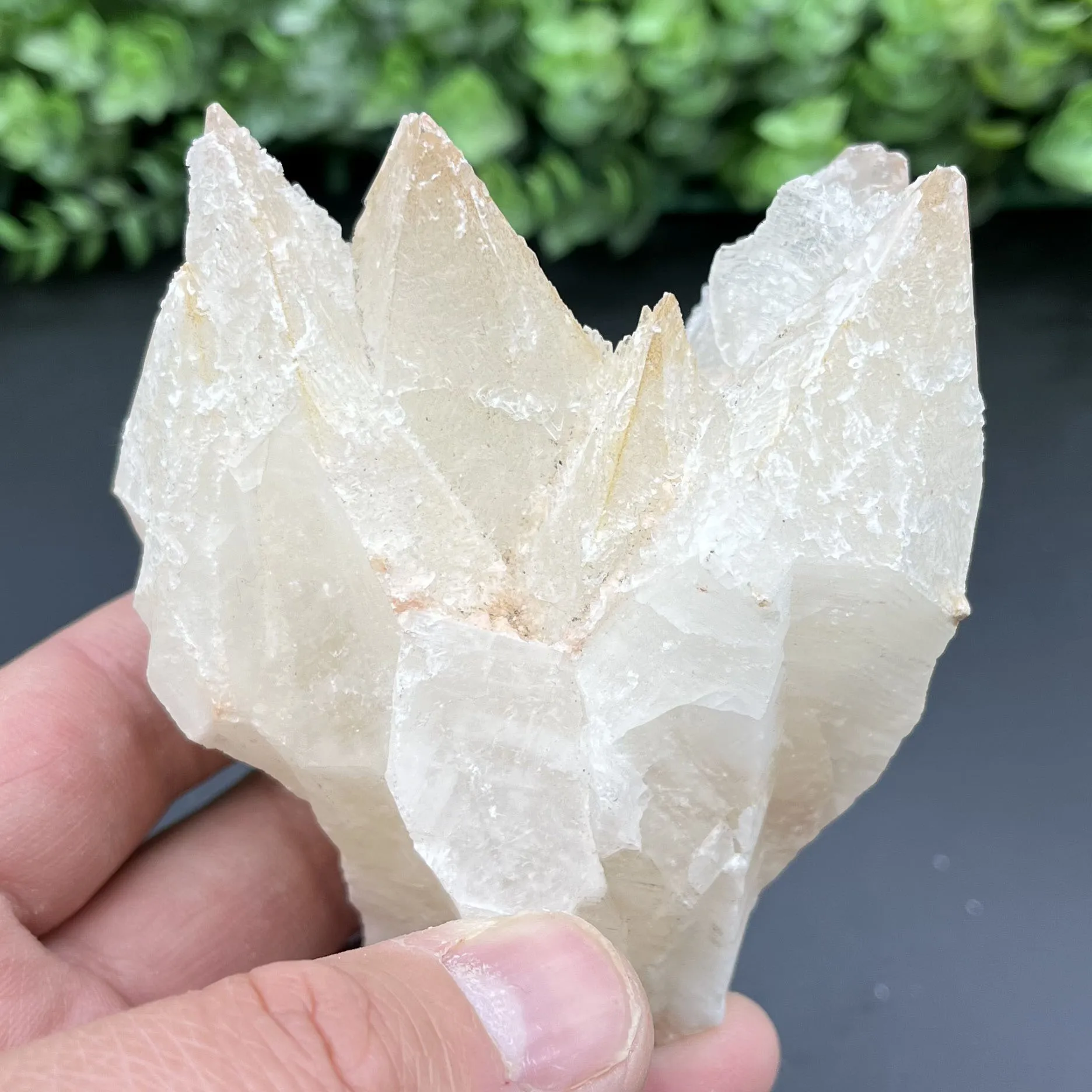 Natural red-headed wolf tooth calcite and gypsum symbiosis quartz original mineral mark collection ornaments