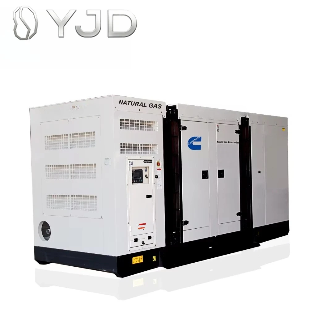 Silent Type 250kw Home Use Small Natural Gas Generator with Cmmins Engine GB8.9-GN GB Power Factory in China